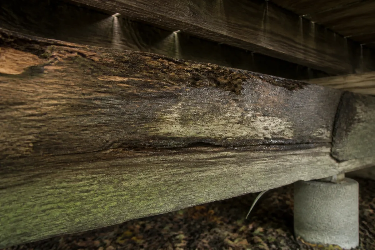 gros plan sur une lambourde de terrasse dégradée par l&rsquo;humidité sous le platelage